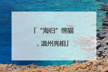 “海归”熊猫，温州亮相